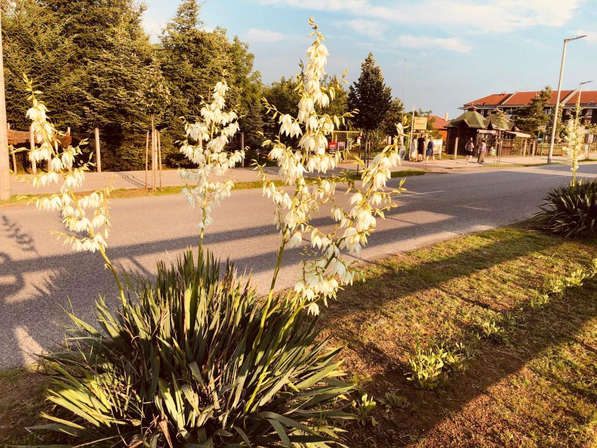 Club Thermal Village Cegléd Zewnętrze zdjęcie